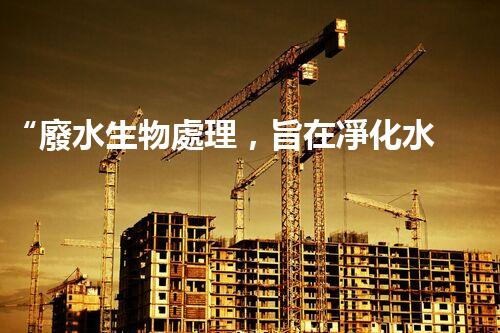 “廢水生物處理，旨在凈化水源，守護(hù)碧水藍(lán)天”